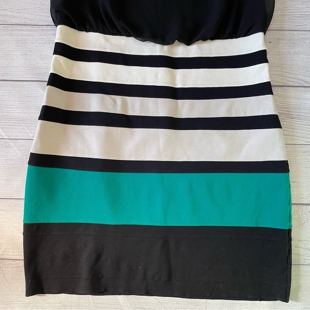 Express Dress - Picture 7 of 7